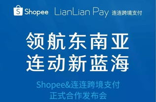 跨境独 立站新年大促,跨境独立站搭建
