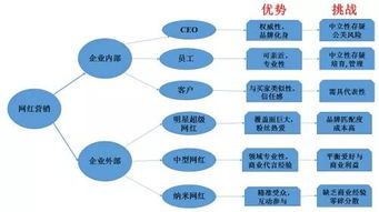 跨境网红营销大促,2021跨境爆款