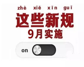 跨境汽配绿色包装,跨境汽车配件排行榜