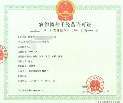 俄罗斯汽配清关的核心法规与认证要求