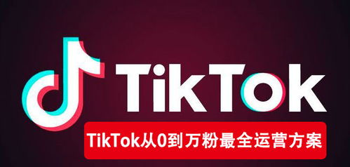 69. 从TikTok引流到独 立站,tiktok如何引流到亚马逊