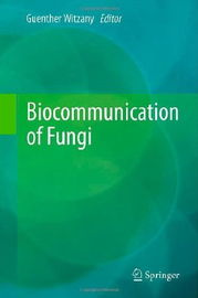 70. 个人主页(Bio)优化技巧,优秀个人主页设计