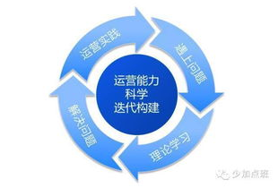 基础运营：构建友好、高效的互动环境