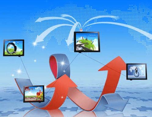 77. 小众领域如何获取精准流量,精准流量专业