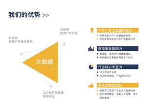 92. 广告数据分析指标,广告数据怎么分析