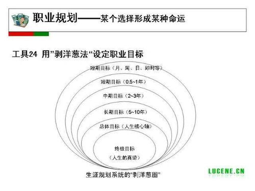 101. 如何找到美国TikTok达人,tiktok在哪里搜索用户