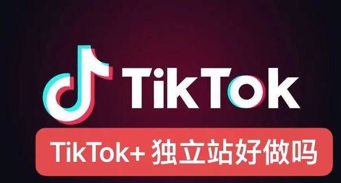 159. 独 立站与TikTok联动,独立站平台