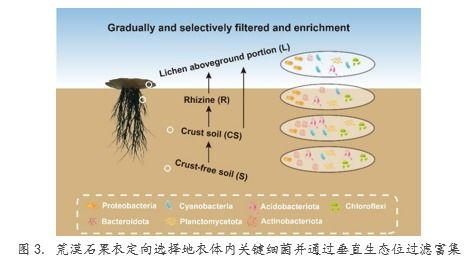 团队协作与项目管理的共生关系