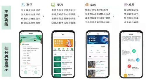 176. 中小企业团队搭建,中小企业群