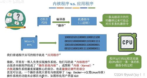 拥抱学习与认知升级，持续推动个体进化