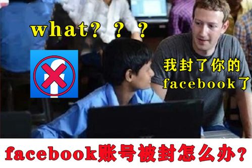 115. Facebook注册解封教程,facebook账号解锁