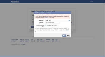 什么是Facebook注册电话无效错误？