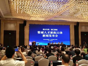 新政的背景与核心内容