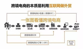 187号跨境支付新规解析，助力中小企业降低国际贸易结算成本