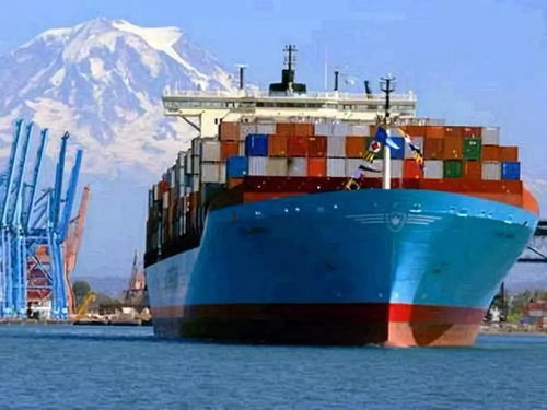 海运费用的基本概念与重要性