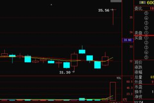 96. 递延清关,清关延迟pvg