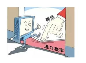 什么是进口税？