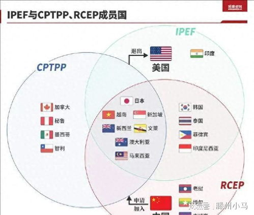 104. DDU物流,dpd物流公司