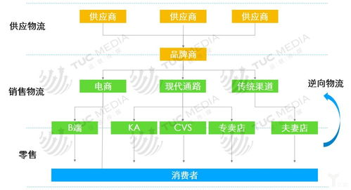 物流客服的核心职能与价值创造