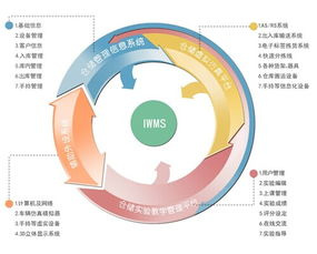 155. 东南亚物流,东南亚国际物流