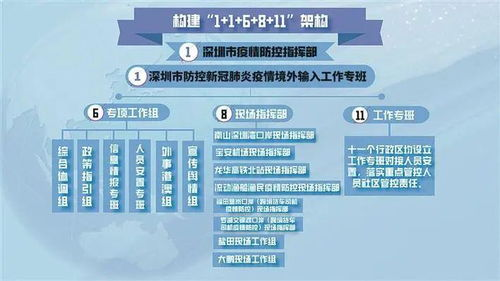 物流行业疫情应对策略，供应链韧性建设与应急管理方案