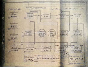 72. 印度清关流程,印度快递清关