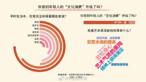 76. 南亚本地化策略,南亚地区局势的核心问题