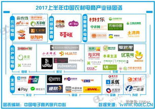 94. 南亚本地电商平台,东南亚的电子商务平台