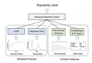 爆款产品的定义、特征及其重要性