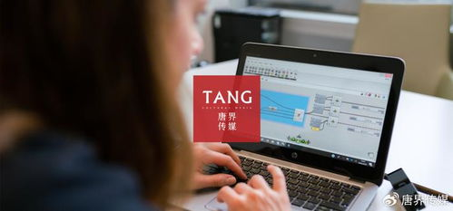 52. 社交媒体营销,社交媒体营销模式