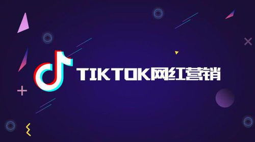 54. TikTok网红营销,tiktok营销计划书