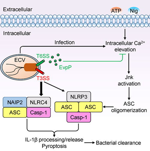深入理解店铺评分机制与核心影响因素