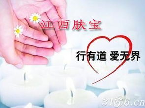 190. 社会责任感,社会责任感的内容