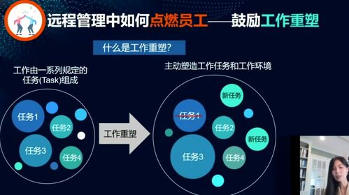 193. 远程团队管理,团队远程软件