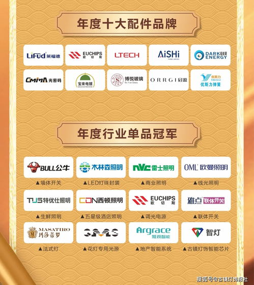 三、十大品牌详细解读