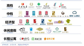 三、性价比之选：中端品牌表现抢眼