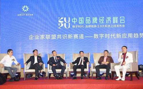 三、本土品牌的创新与突破