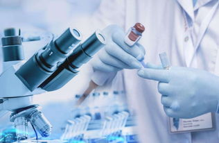 二、产品种类的丰富性