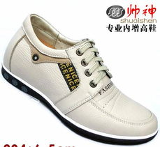 二、休闲鞋品牌介绍