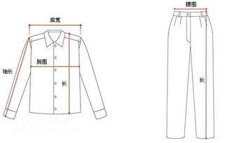 二、选择合身版型