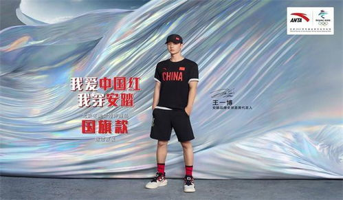 二、安踏Kolon Sport