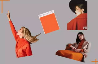 二、色彩搭配与形象塑造