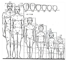 三、款式设计与人身比例