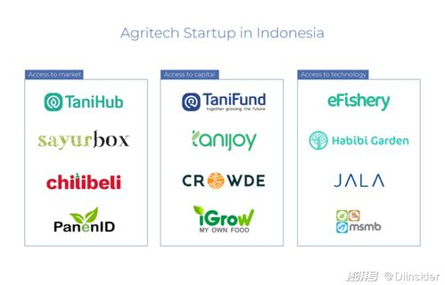 三、市场影响与消费者接受度