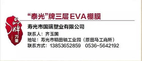 三、品牌理念认同