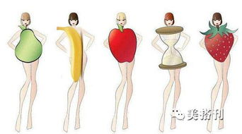 二、掌握身材扬长避短技巧