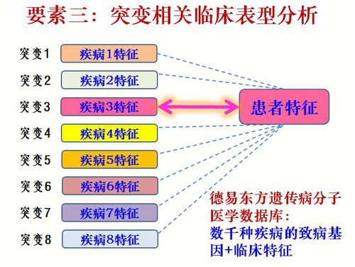 三、批发策略分析