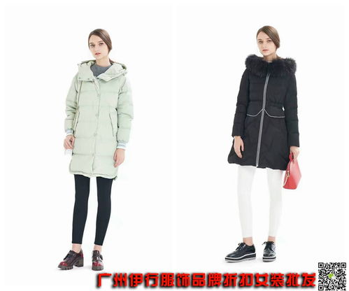 二、国内外羽绒服品牌对比