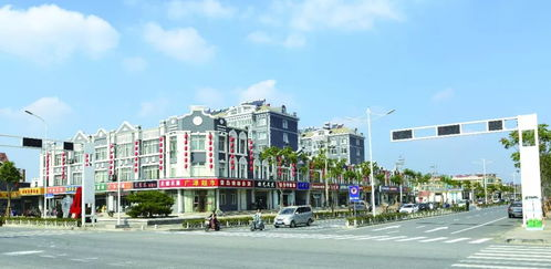 三、海珠区批发市场的特色