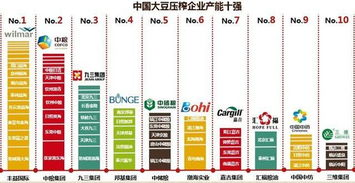 一、品牌介绍与市场地位